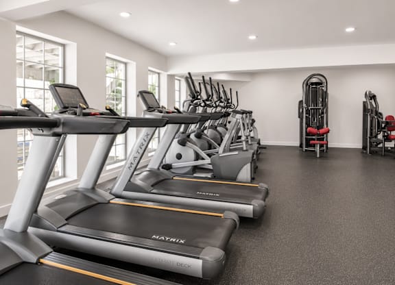 A gym with treadmills and exercise equipment.