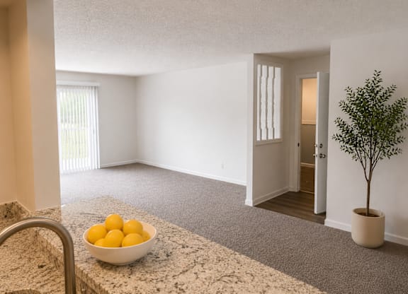 A bowl of lemons sits on a granite countertop in a bright, empty room.