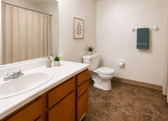 A bathroom with a toilet, sink, and a plant.