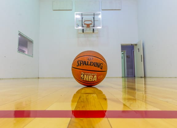 Indoor Basketball at Walnut Creek Apartments, Kokomo, 46902