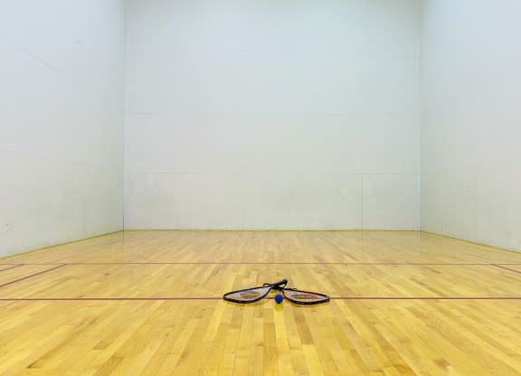 Squash Court at Walnut Creek Apartments, Kokomo, IN