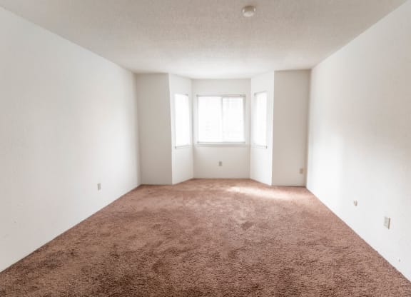 an empty room with carpet and a window