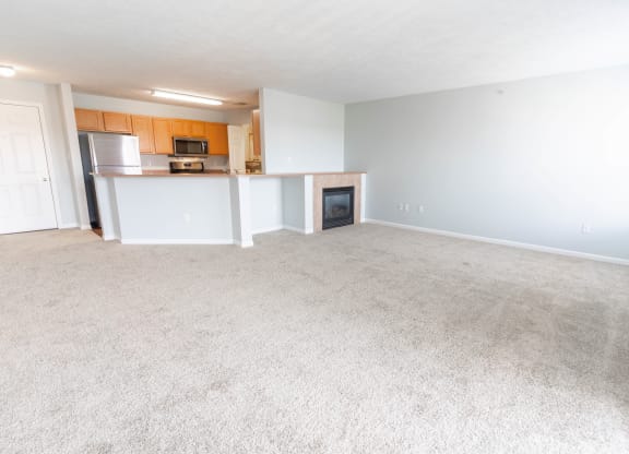 Living and kitchen area at Creekside at Meadowbrook Apartments, Lowell, 46356