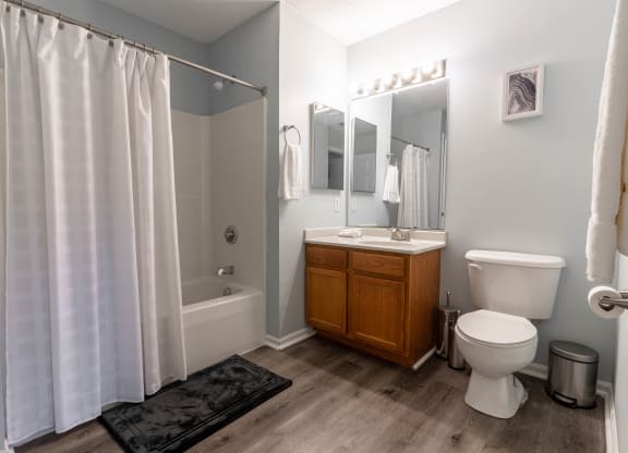 Model Bathroom at Creekside at Meadowbrook Apartments in Lowell, IN