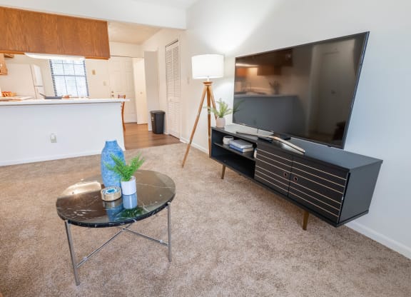 Classic Living Room Design With Television at Sandstone Court Apartments, Greenwood, IN