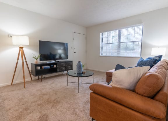 Living Room With TV at Sandstone Court Apartments, Indiana, 46142