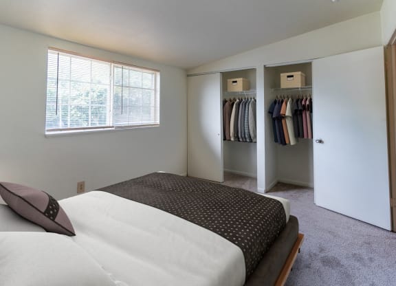 a bedroom with a large bed and a closet