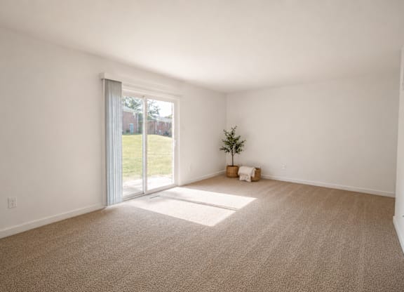 A room with a carpet floor and a sliding glass door leading to a backyard.