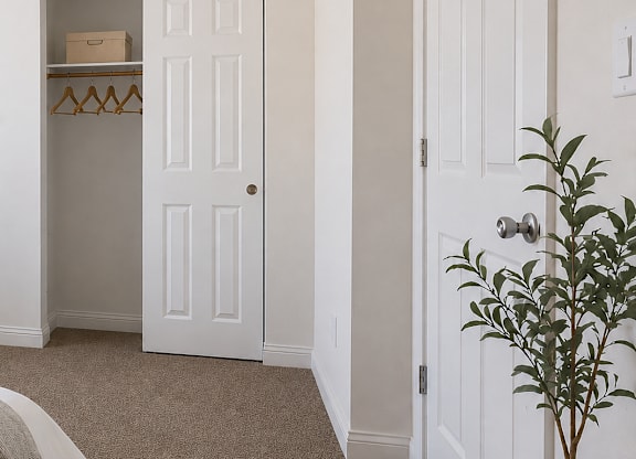 A room with a carpeted floor and a plant in a planter.