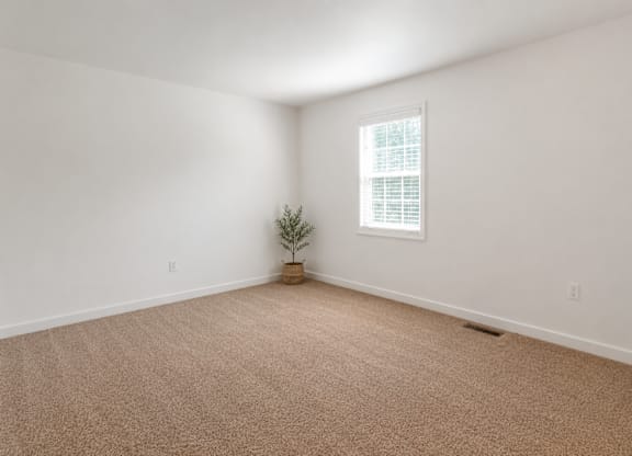 A room with a carpeted floor and a small plant in a pot.