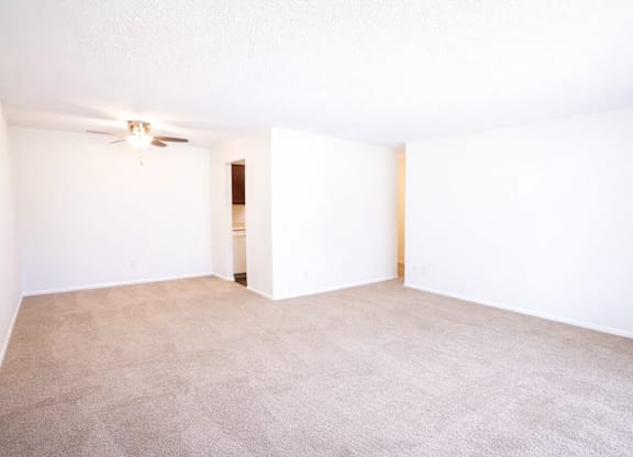 A room with a carpet floor and a ceiling fan.