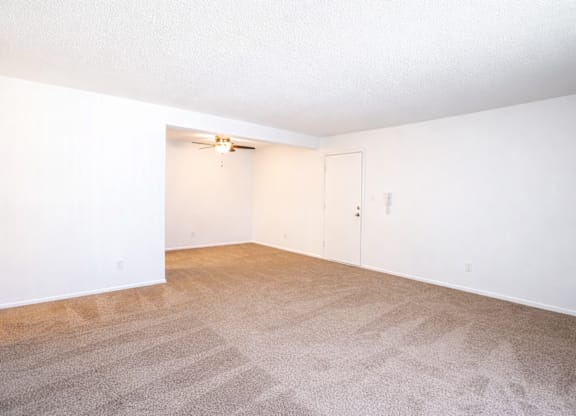 A room with a carpeted floor and two doors.