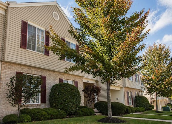 A tree with yellow leaves is in front of a building with red shutters.