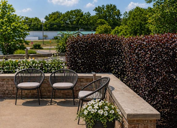 Three chairs are on a patio with a potted plant between them.