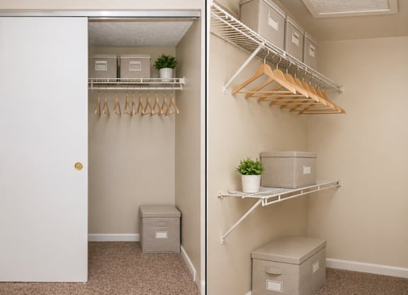 A white closet with a white door and a white shelf with a plant on it.