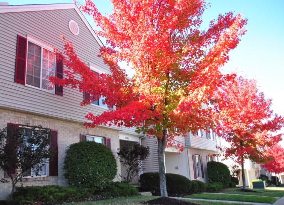 Exquisite Exterior at Meadow View Apartments and Townhomes, Ohio