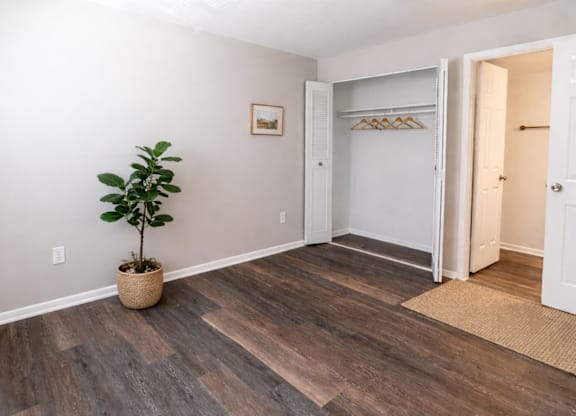 A room with a plant in a pot and a wooden floor.