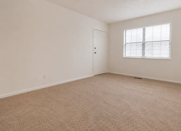 A room with a carpeted floor and a window with blinds.