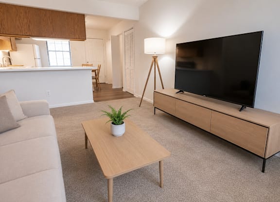 A living room with a couch, a coffee table, and a television.