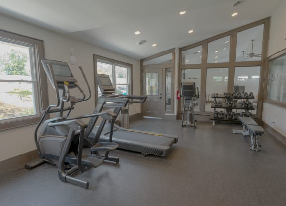 the gym has plenty of exercise equipment and windows