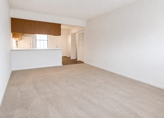 A room with a carpeted floor and a window.
