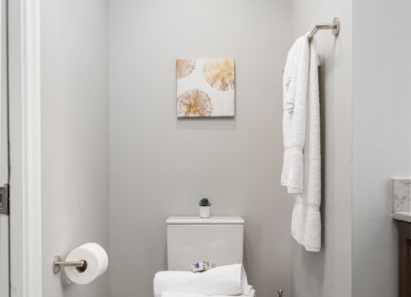 Upgraded Bathroom Fixtures at Park Heights by the Lake Apartments, Chicago, 60649