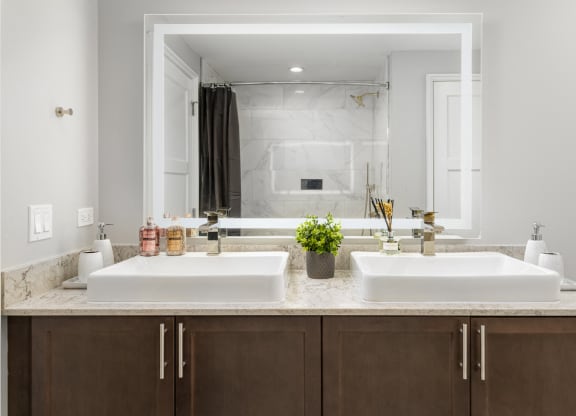 Designer Granite Countertops In All Bathrooms at Park Heights by the Lake Apartments, Chicago, 60649