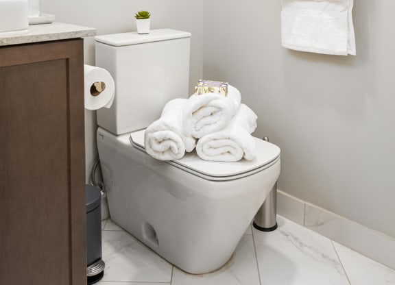 Updated Bathrooms at Park Heights by the Lake Apartments, Illinois