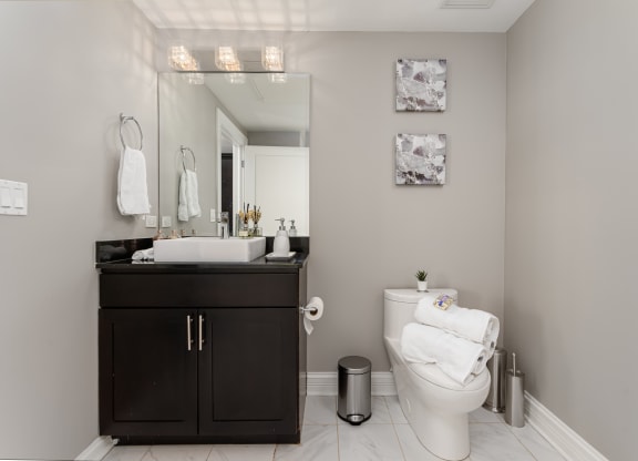 a bathroom with a toilet and a sink and a mirror