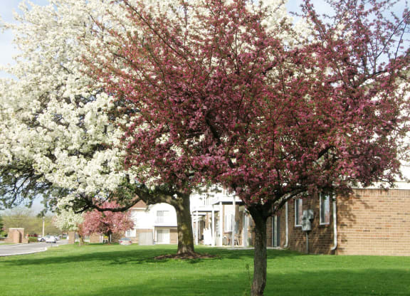 Beautiful landscaping at Waterstone Place Apartments in Indianapolis, IN 46229