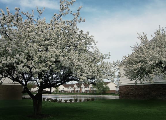 Meticulous landscaping at Waterstone Place Apartments in Indianapolis, IN 46229