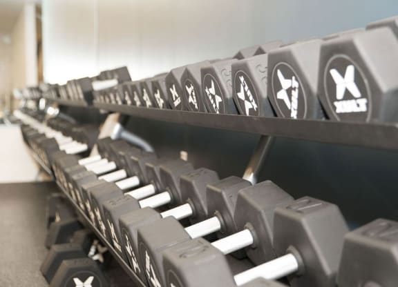 Dumbbells at The Whit Apartments, Indiana, 46204
