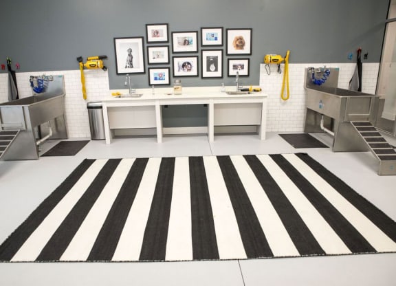 Indoor Pet Wash Station at The Whit Apartments, Indianapolis, IN, 46204