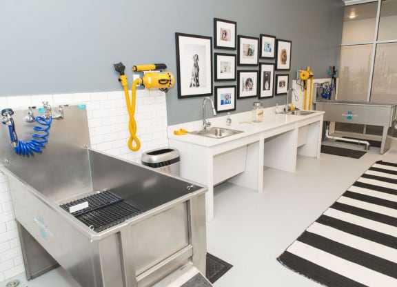 Pet Wash Station at The Whit Apartments, Indiana, 46204