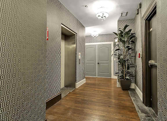 a hallway with two doors and a potted plant at The Knights @ 506 Delaware Apartments, New York