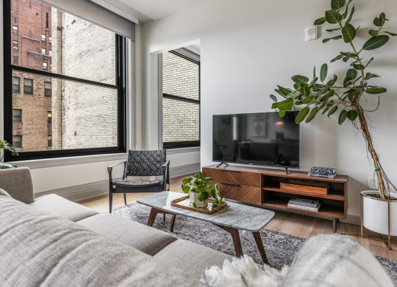 a living room with a couch and a tv and two windows at The Commonwealth Building, Pennsylvania