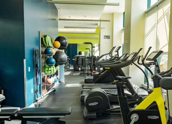 a gym with cardio equipment and weights at Walnut on Highland, Pittsburgh, PA