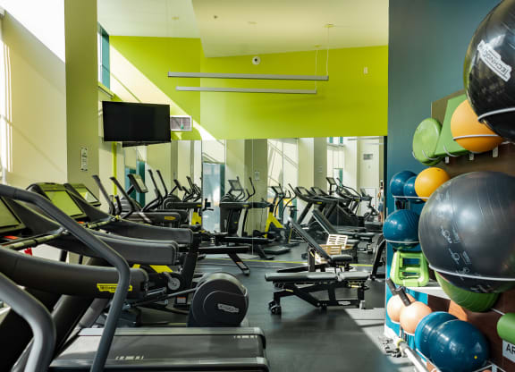 a room filled with lots of cardio equipment and weights at Walnut on Highland, Pittsburgh, PA