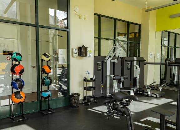 a gym with a lot of exercise equipment at Walnut on Highland, Pittsburgh, PA