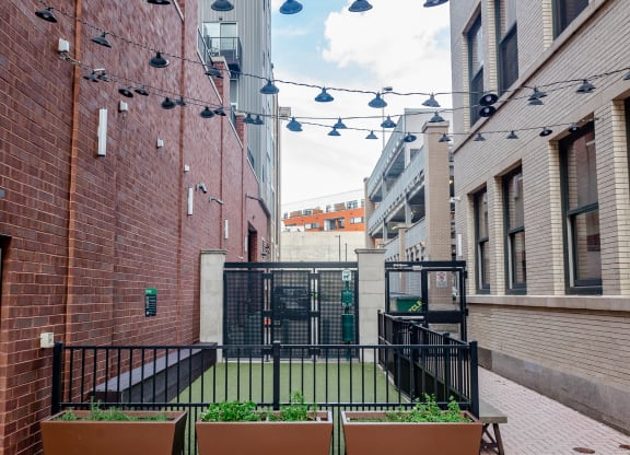 a courtyard with a grassy area and a black gate at Walnut on Highland, Pittsburgh, PA