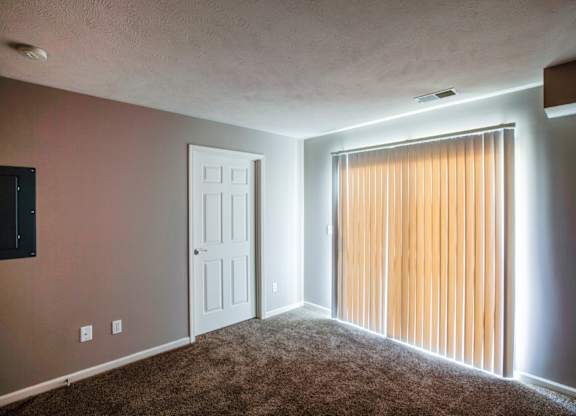 A room with a brown carpet and a white door.