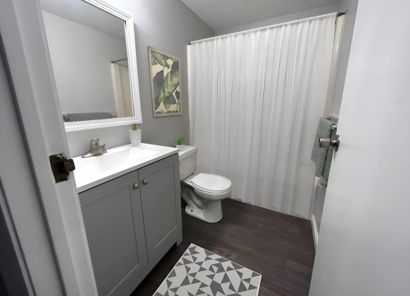 a bathroom with a shower and a sink and a toilet