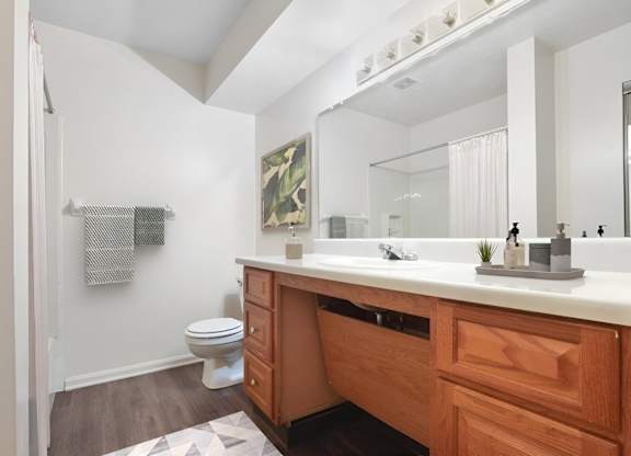 A bathroom with a wooden vanity and a toilet.