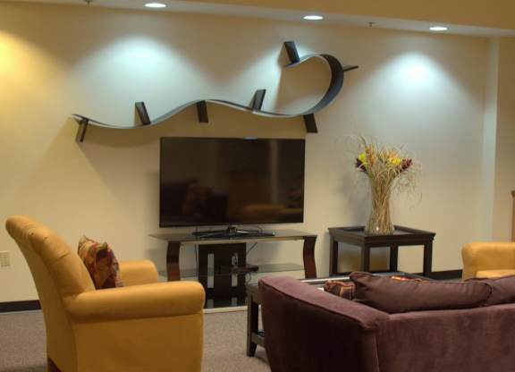 seating area and tv