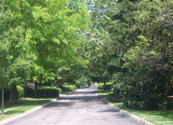 Street view at Merrick Place, Lexington, KY