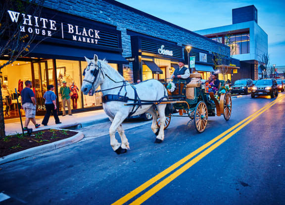 a white horse pulling a carriage down a city street