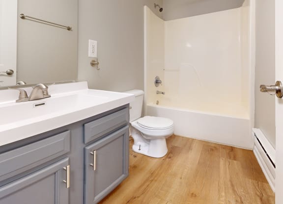 a bathroom with a toilet and a sink and a bath tub at Ridgeview, Fortville, Indiana