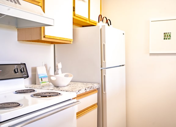 a kitchen with a stove and a refrigerator