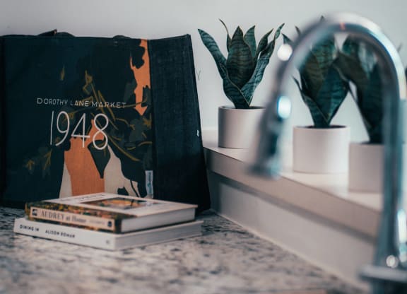 a bathroom sink with a book and plants on a shelf