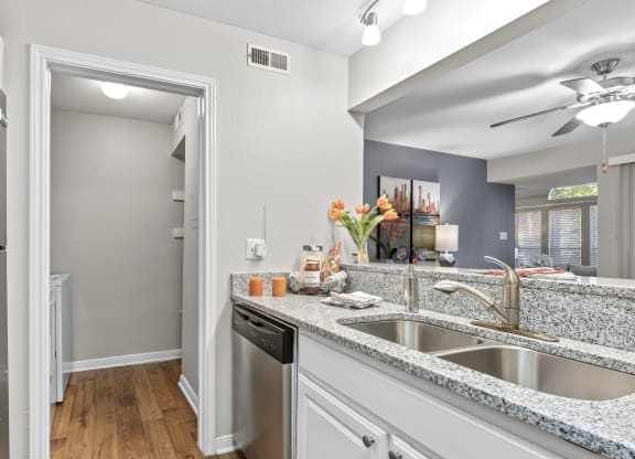 Double Sink With Integrated Sprayer at Regency Place, Raleigh